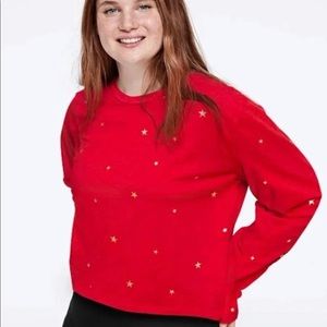 NWT VS PINK Long Sleeve Cropped Tee LARGE